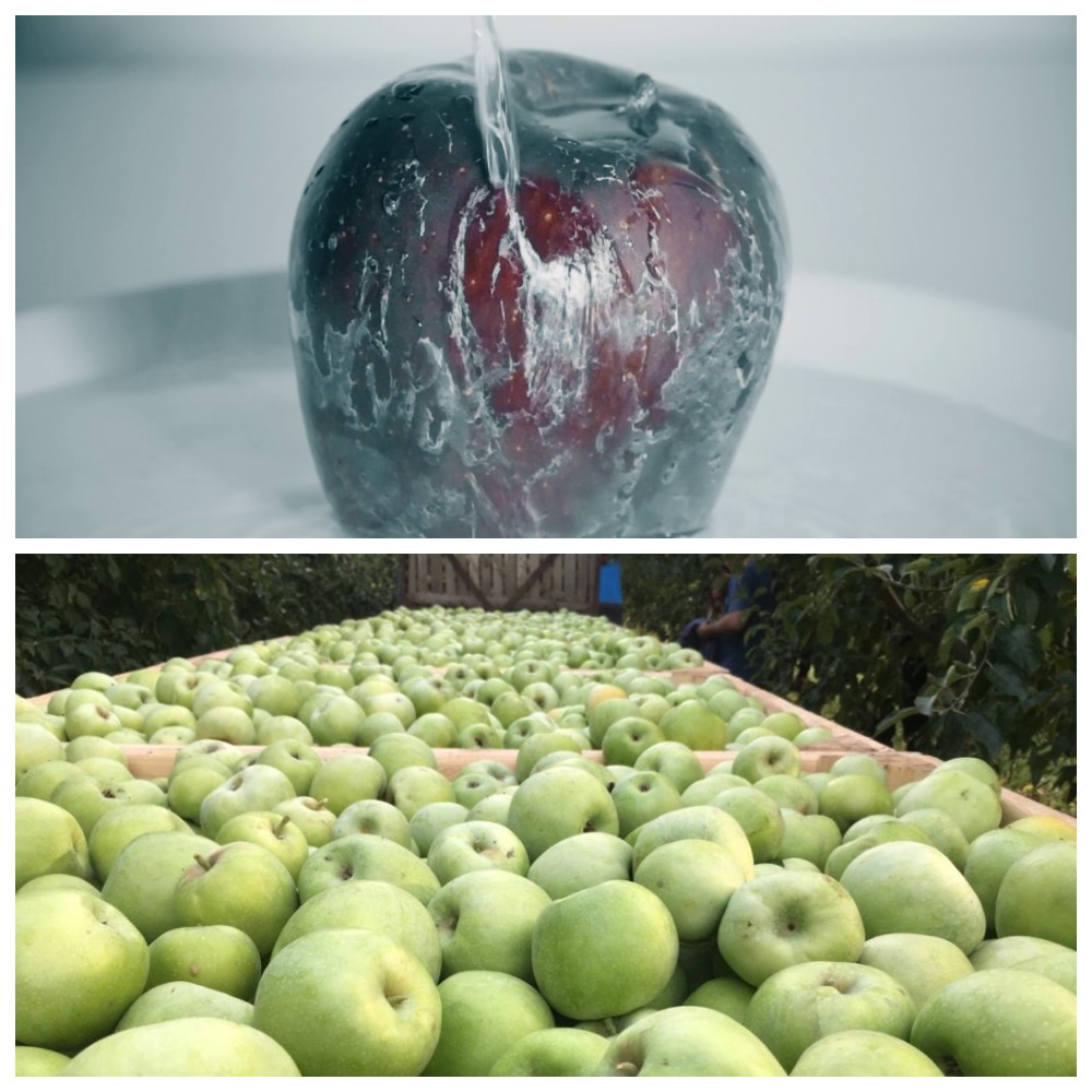 Как обрабатывают яблоки