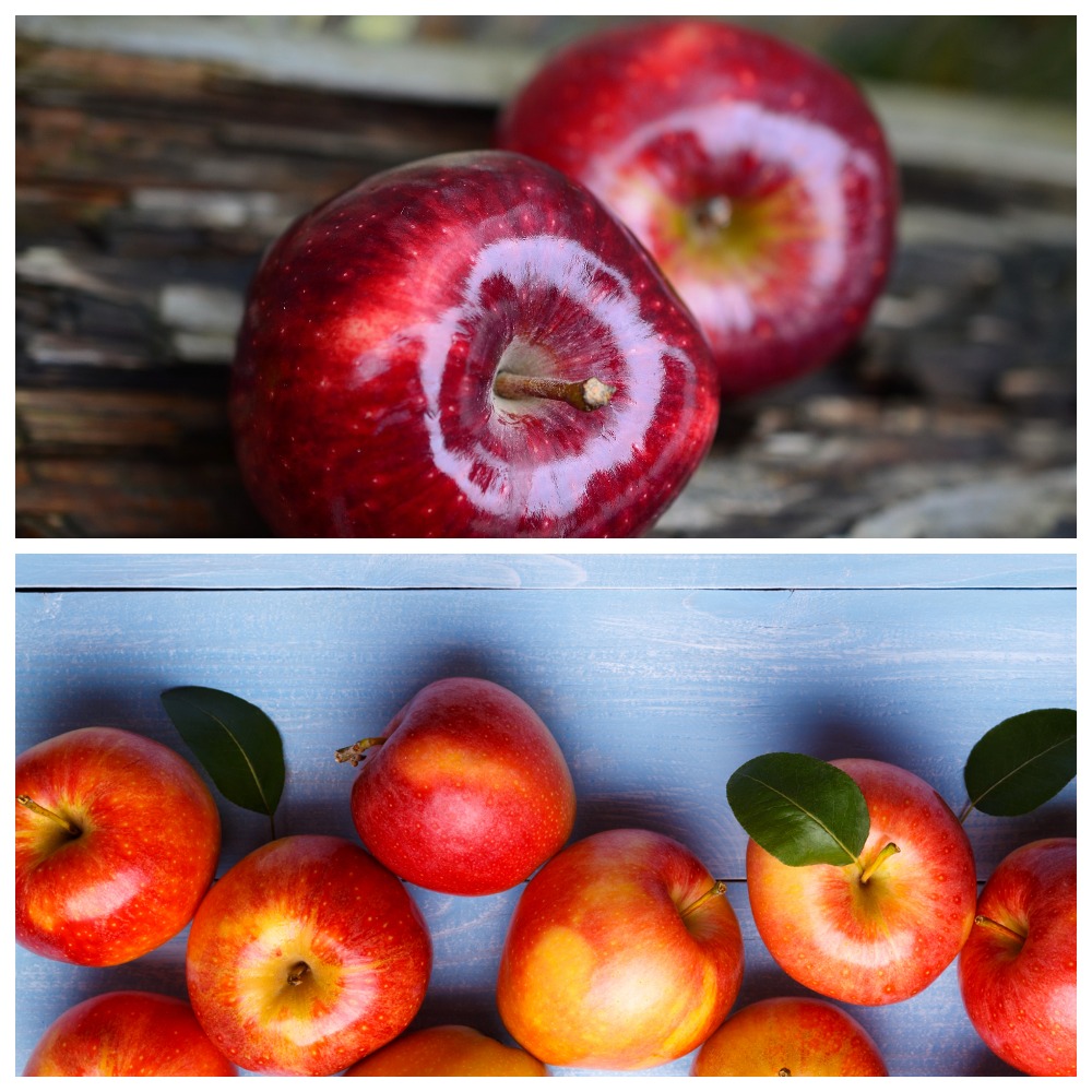 Чем и как обрабатывают яблоки для длительного хранения