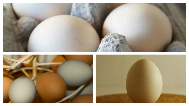 Как яйца продукт без холодильника