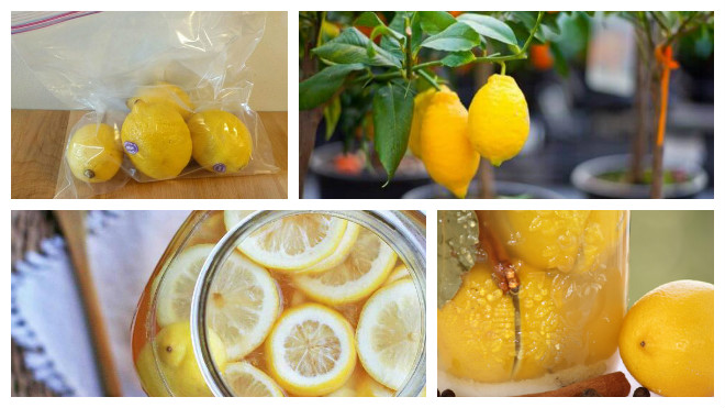 Способы длительного хранения лимонов 