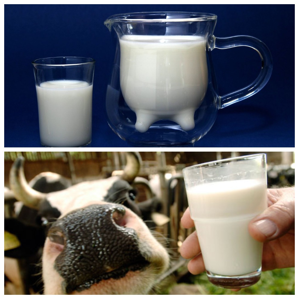 Срок годности молока