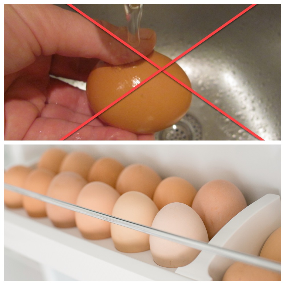 Можно и нужно ли мыть яйца перед хранением в холодильнике