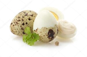 Сколько хранятся сырые перепелиные яйца в холодильнике
