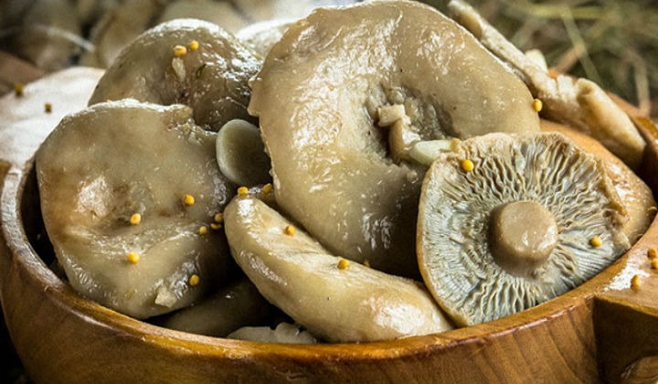Сроки длительного хранения соленых грибов в домашних условиях
